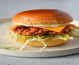 CHICKEN BURGER